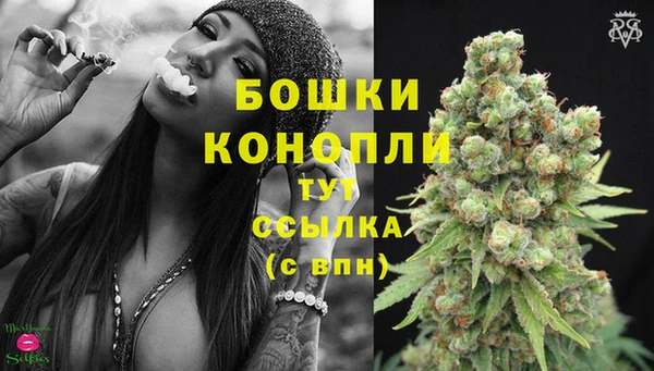 дурь Осинники