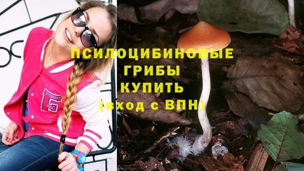 МДМА Осташков