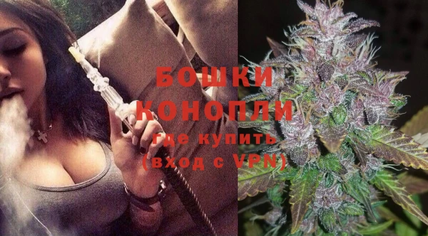дурь Осинники
