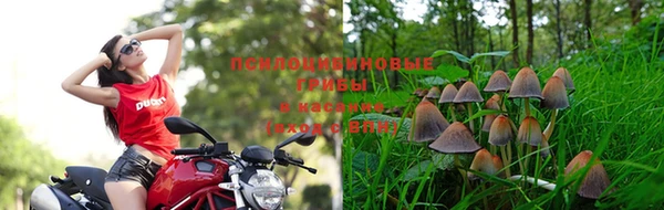 дурь Осинники